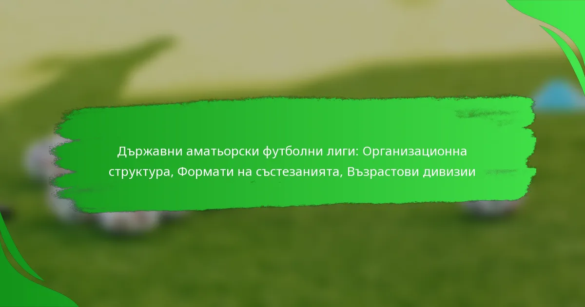 Държавни аматьорски футболни лиги: Организационна структура, Формати на състезанията, Възрастови дивизии
