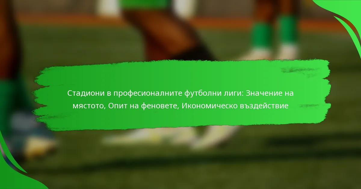 Стадиони в професионалните футболни лиги: Значение на мястото, Опит на феновете, Икономическо въздействие