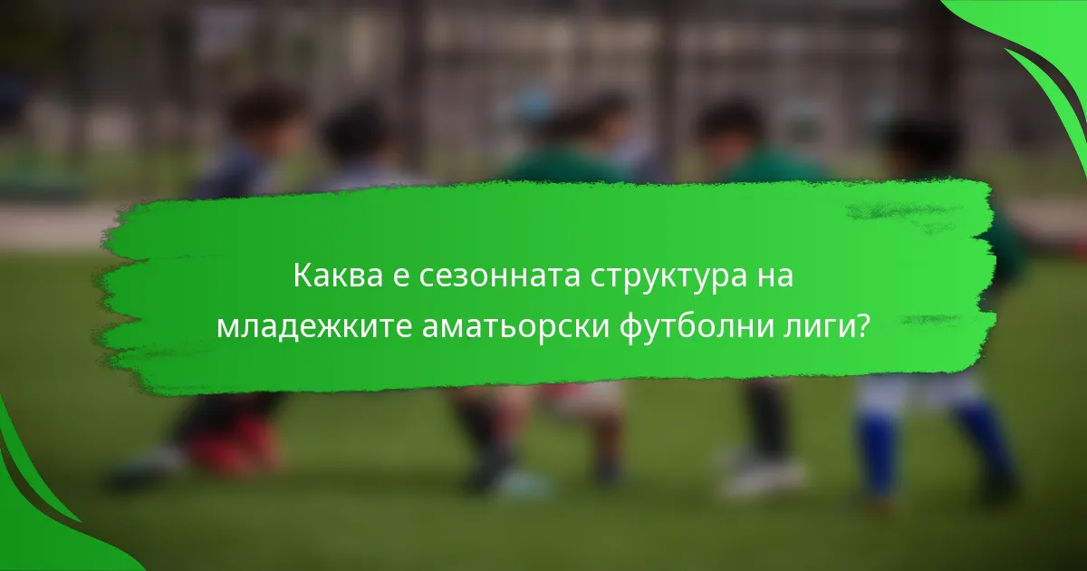 Каква е сезонната структура на младежките аматьорски футболни лиги?